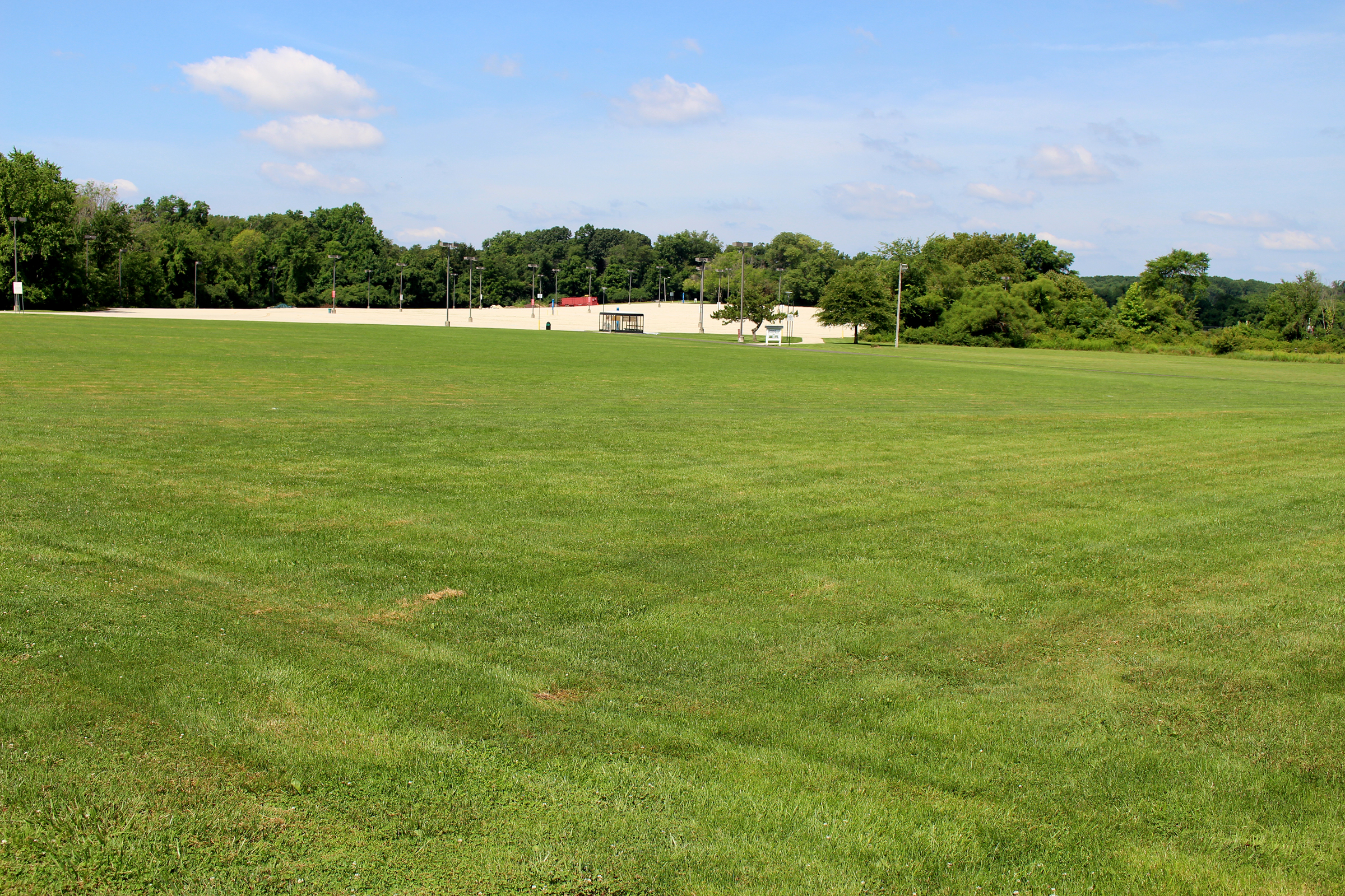 empty field