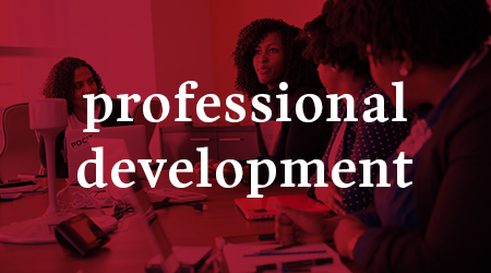 Professional Development Banner